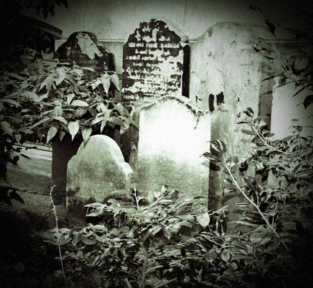 A group of old gravestones.